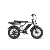 JASION RetroVolt Electric Bike - Motor 500W Battery 48V12.5AH 20 Inch Wheels Mechanical Disc Brakes - Gray